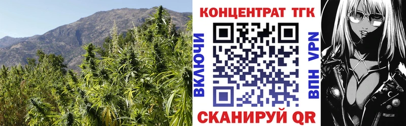 OMG как зайти  Геленджик  ТГК жижа 