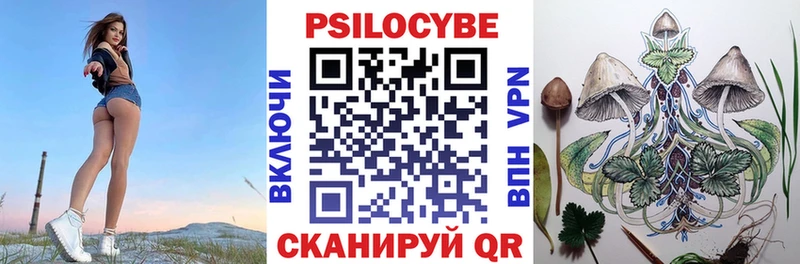 Псилоцибиновые грибы Psilocybe  где купить наркоту  darknet какой сайт  Геленджик 